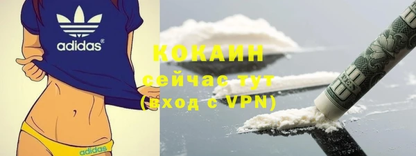 стаф Няндома