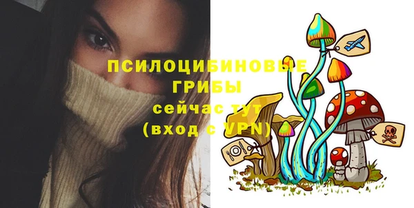 стаф Няндома