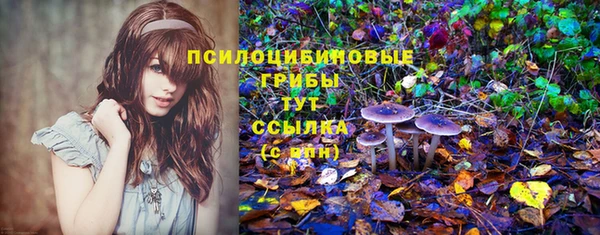 стаф Няндома