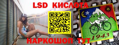 a pvp Кингисепп