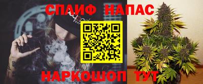 a pvp Кингисепп
