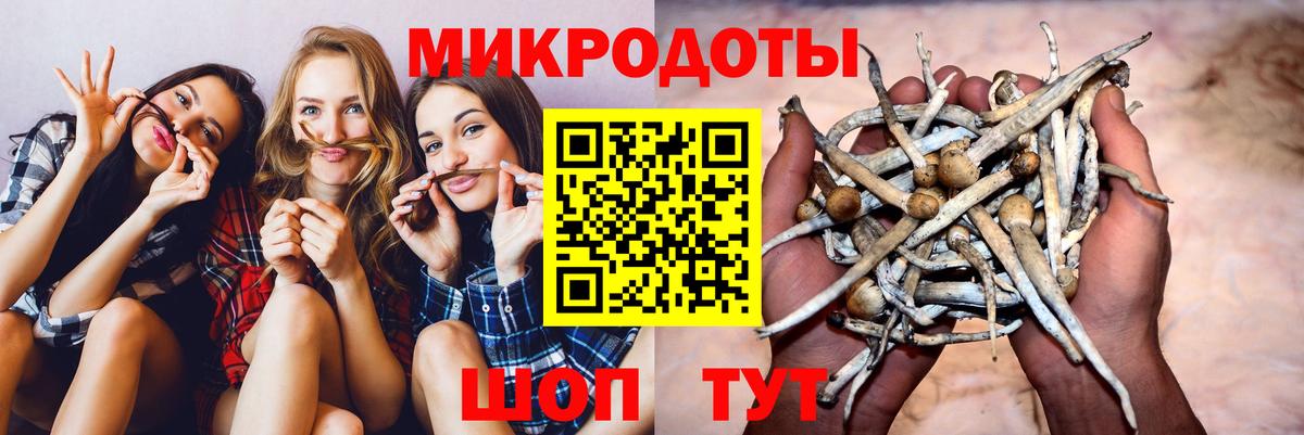 Галлюциногенные грибы Cubensis  наркотики  Северодвинск  Вход с VPN 