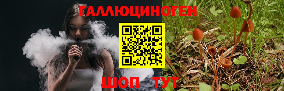 Псилоцибиновые грибы ЛСД Северодвинск