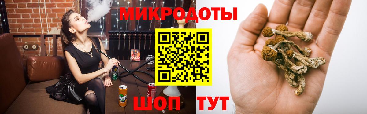 Псилоцибиновые грибы мицелий  Северодвинск  Псилоцибиновые грибы прущие грибы 